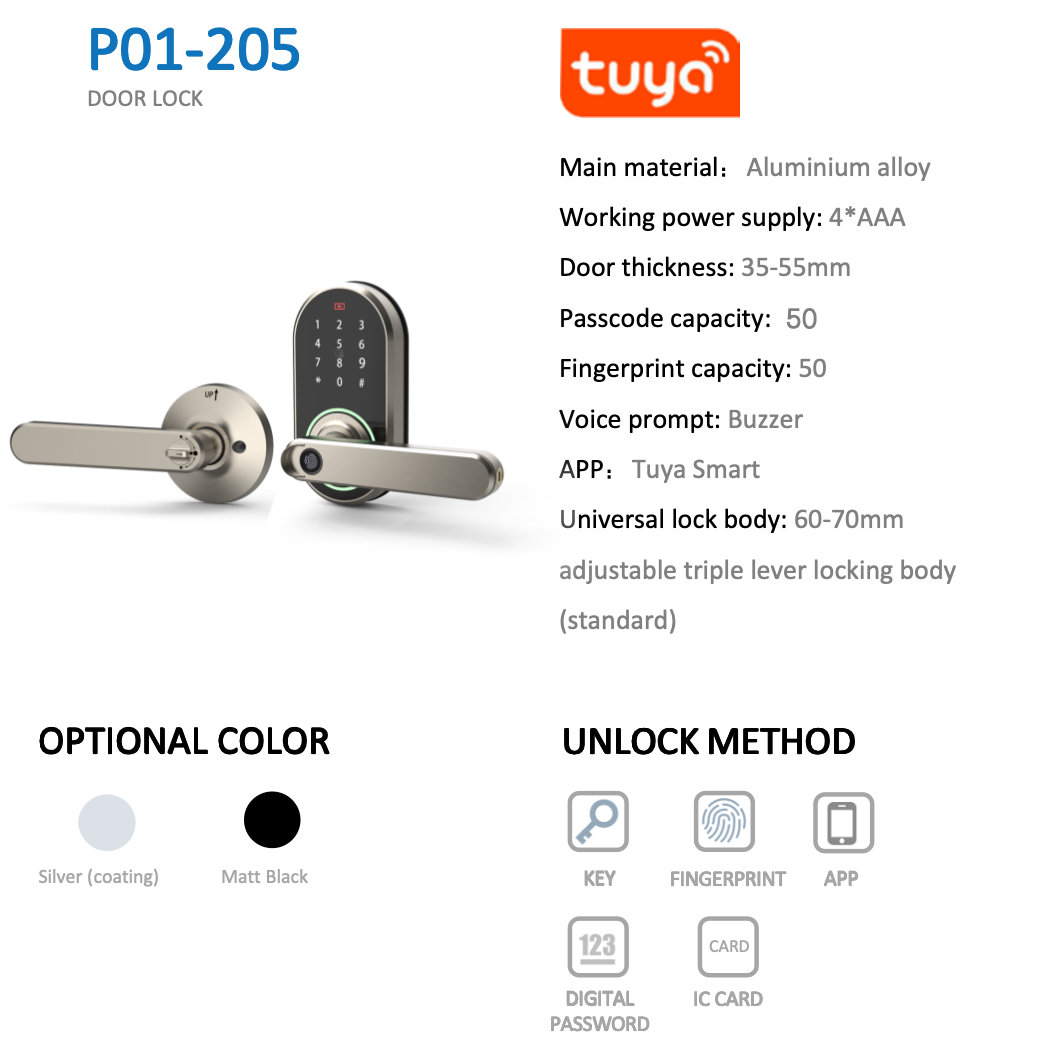 P01-205 Lever Lock