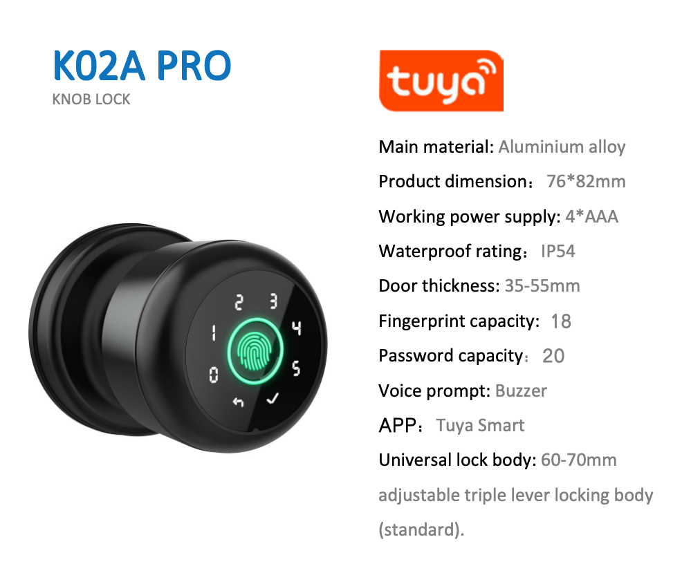 K02A Pro Smart Knob Lock